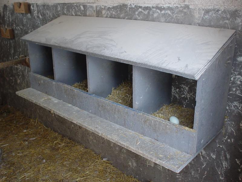 Building plans for chicken nesting boxes ~ Build for a hen