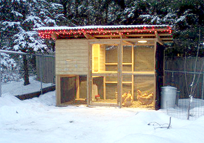 Chicken Coop, Poop – It’s That Time Of The Year ‘Again’