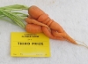 odd-carrot1