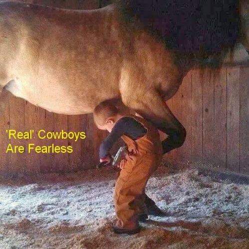 Fearless cowboy