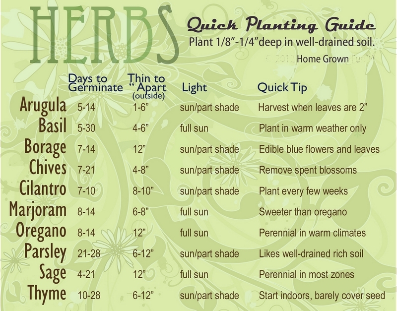 Vegetable Seed Germination Chart